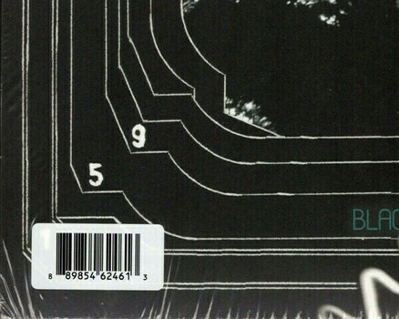 Hanglemez Arcade Fire - Neon Bible (2 LP) - 4
