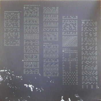 Vinylskiva Arcade Fire - Neon Bible (2 LP) - 8