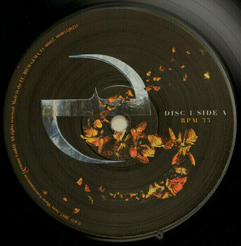 Vinyl Record Evanescence Synthesis (3 LP) - 7