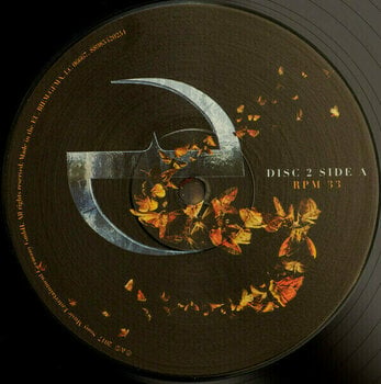 Hanglemez Evanescence Synthesis (3 LP) - 11