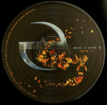 Schallplatte Evanescence Synthesis (3 LP) - 12