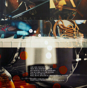 Vinylskiva Evanescence Synthesis (3 LP) - 13