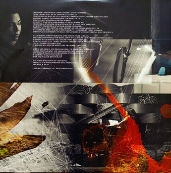 LP deska Evanescence Synthesis (3 LP) - 14