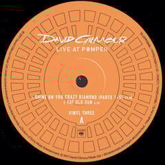 Disque vinyle David Gilmour - Live At Pompeii (Gatefold Sleeve Slipcase) (4 LP) - 6