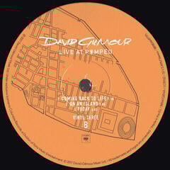 Disque vinyle David Gilmour - Live At Pompeii (Gatefold Sleeve Slipcase) (4 LP) - 7