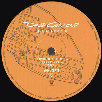 Vinyl Record David Gilmour Live At Pompeii (4 LP) - 18