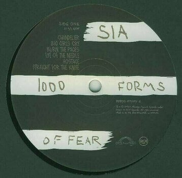 Vinyylilevy Sia 1000 Forms of Fear (LP) - 2