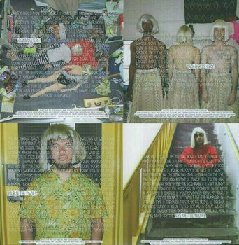 Disque vinyle Sia 1000 Forms of Fear (LP) - 4