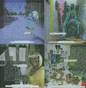 Vinylskiva Sia 1000 Forms of Fear (LP) - 5