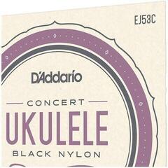 Cuerdas para ukelele de concierto D'Addario EJ53C Cuerdas para ukelele de concierto - 2