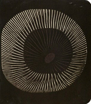 Glasbene CD System of a Down - Hypnotize (CD) - 4