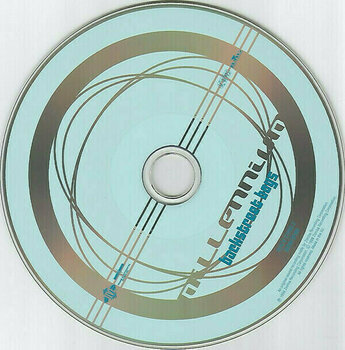 Muzyczne CD Backstreet Boys - Millennium (CD) - 2