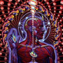CD musicali Tool - Lateralus (CD) - 2