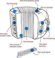 Piano accordion Hohner XS Children Accordion Piano accordion - 6
