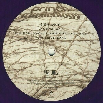 Vinyl Record Prince - Musicology (Purple Coloured) (Gatefold Sleeve) (2 LP) - 5