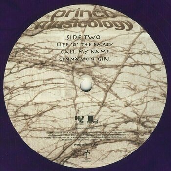 Disco de vinilo Prince - Musicology (Purple Coloured) (Gatefold Sleeve) (2 LP) - 6