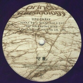 Disque vinyle Prince - Musicology (Purple Coloured) (Gatefold Sleeve) (2 LP) - 7