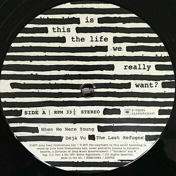 Δίσκος LP Roger Waters Is This the Life We Really Want? (2 LP) - 6