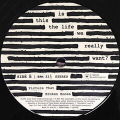 Vinylskiva Roger Waters - Is This the Life We Really Want? (Gatefold Sleeve) (2 LP) - 3