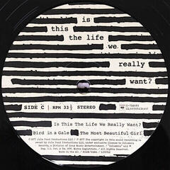 Vinylskiva Roger Waters - Is This the Life We Really Want? (Gatefold Sleeve) (2 LP) - 4