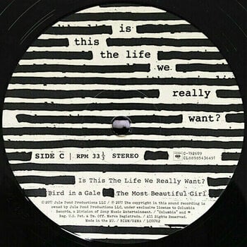 Vinyl Record Roger Waters Is This the Life We Really Want? (2 LP) - 8