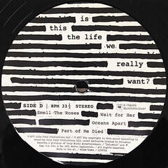 Vinylskiva Roger Waters - Is This the Life We Really Want? (Gatefold Sleeve) (2 LP) - 5