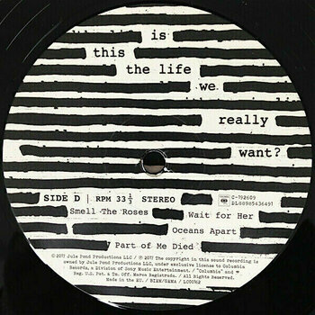 LP Roger Waters Is This the Life We Really Want? (2 LP) - 9