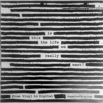 Disque vinyle Roger Waters Is This the Life We Really Want? (2 LP) - 15