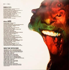 Disco in vinile Metallica - Hardwired...To Self-Destruct (2 LP) - 7