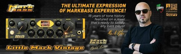 Amplificateur basse hybride Markbass Little Mark Vintage - 8