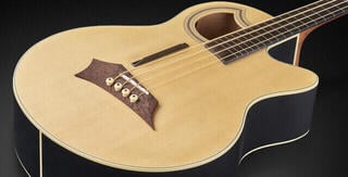 Akustična bas kitara Warwick RockBass Alien Standard FL Natural Akustična bas kitara - 1