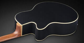 Akustik Bass Warwick RockBass Alien Standard FL Black Akustik Bass - 2