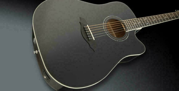 Guitare Dreadnought acoustique-électrique Framus Legacy Series FD 14 S Guitare Dreadnought acoustique-électrique - 2