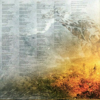Vinyylilevy Amorphis - Skyforger (2 LP) - 2