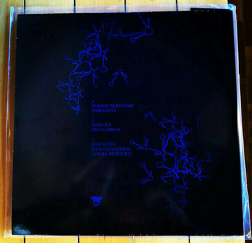 Vinyl Record Blut Aus Nord - Hallucinogen (2 LP) - 2