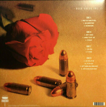 Vinylskiva Guns N' Roses - Deer Creek 1991 Vol.1 (2 LP) - 2
