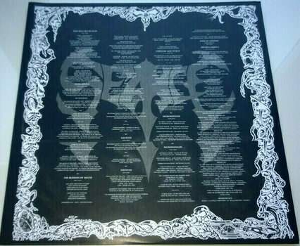 Vinyl Record Seance - Fornever Laid To Rest (LP) - 4