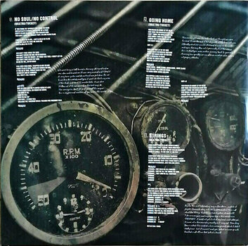 Vinyl Record Suzi Quatro - No Control (2 LP + CD) - 4