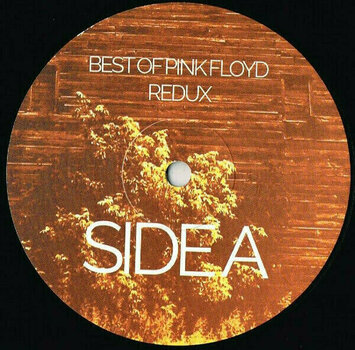 Vinyl Record Various Artists - Best Of Pink Floyd (Redux) (LP) - 5
