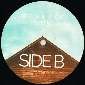 Vinyl Record Various Artists - Best Of Pink Floyd (Redux) (LP) - 6