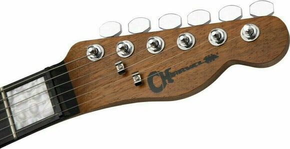 Elektrische gitaar Charvel Joe Duplantier Signature Pro-Mod San Dimas Style 2 HH E Natural - 4