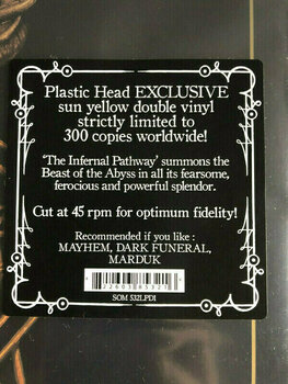 Disco de vinil 1349 - The Infernal Pathway (Plastic Head Exclusive Sun Yellow Vinyl) (2 LP) - 3