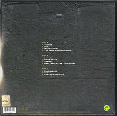 Vinyl Record Foo Fighters - Concrete & Gold (2 LP) - 2