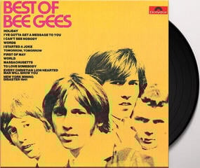 Vinyl Record Bee Gees - Best Of Bee Gees (LP) - 2