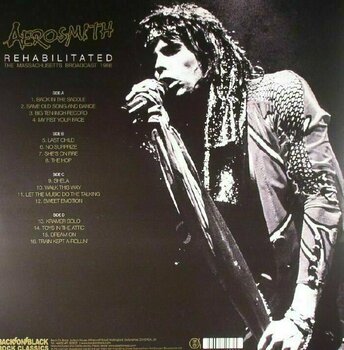 Vinyl Record Aerosmith - Rehabilitated (2 LP) - 2