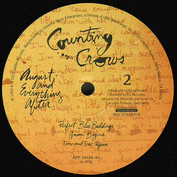 Vinyl Record Counting Crows - August And Everything After (200g) (Remastered) (2 LP) - 5