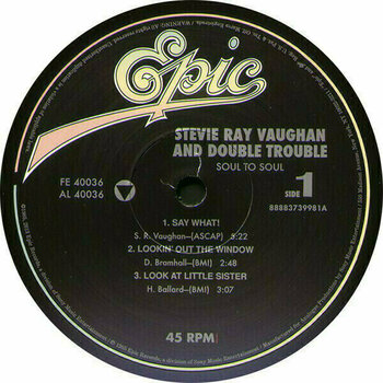 Disque vinyle Stevie Ray Vaughan - Texas Hurricane (Box Set) (12 LP) - 14