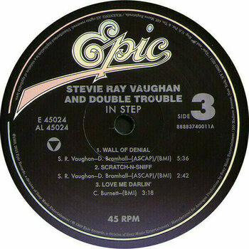 Disco de vinil Stevie Ray Vaughan - Texas Hurricane (Box Set) (12 LP) - 20