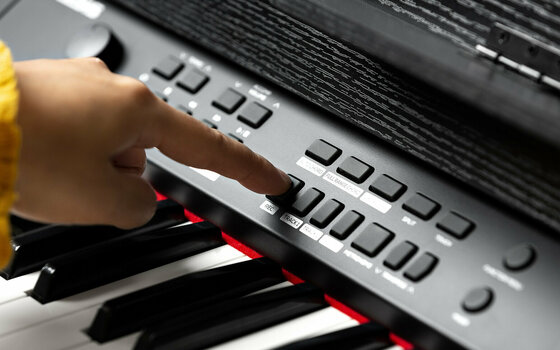 Digitální piano Alesis Virtue AHP-1B Černá Digitální piano - 8