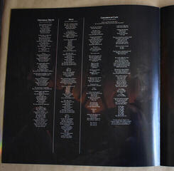 Vinylplate Demons & Wizards III (2 LP) - 4